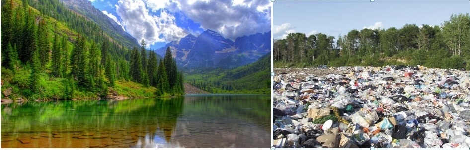 Студия ландшафтного дизайна "Атрея".